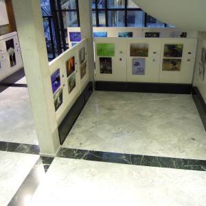 galeria-sala-exposicion-planta-baja-es