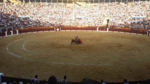 plaza toros