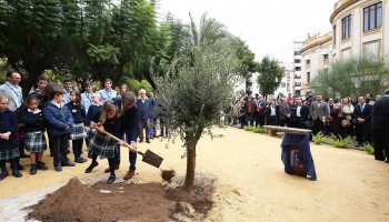 La Diputación de Alicante potencia la reforestación en su ‘agenda verde’ para propiciar una transformación ambiental en la provincia