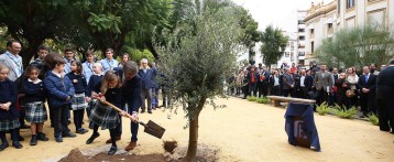 La Diputación de Alicante potencia la reforestación en su ‘agenda verde’ para propiciar una transformación ambiental en la provincia