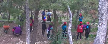 Aguas de Alicante desarrolla proyectos ambientales por valor de 13 millones de euros