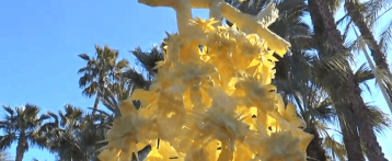 Domingo de Ramos en Elche 2015