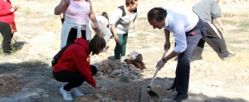 Un centenar de voluntarios participan en la reforestación de pinos