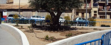 Se reparan todas las jardineras del parque La Senda en Villajoyosa, por el mal uso y actos vandálicos