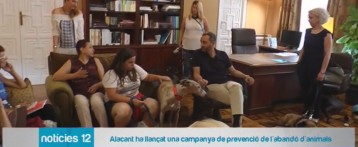 La Diputación lanza una campaña contra el abandono de mascotas