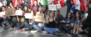 La Cofradía de la Oración en el Huerto de Elche certifica que las aves atadas al trono no sufren maltrato