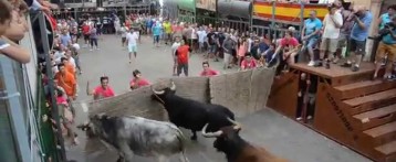 Un jove d’Almoines mor en els ‘bous al carrer’ de Pedreguer