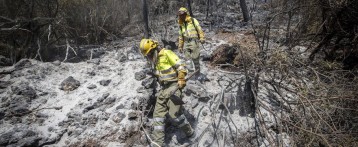 Controlats els incendis de Bolbaite, Benifaró i Terrateig, el de Carcaixent evoluciona favorablement