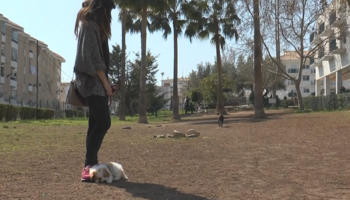 El Ayuntamiento de Elche triplica el importe de las multas a los dueños de mascotas que no recojan los excrementos