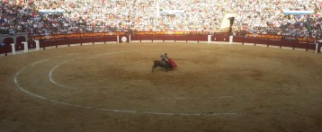 José Tomás y José Mª Manzanares triunfan en la Feria de Hogueras de Alicante