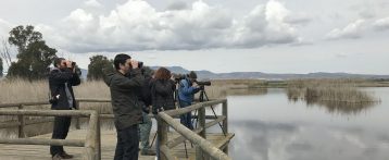 Costa Blanca y l’Associació per al Desenvolupament del Camp d’Elx unen esfuerzos para promocionar la riqueza natural de la zona  